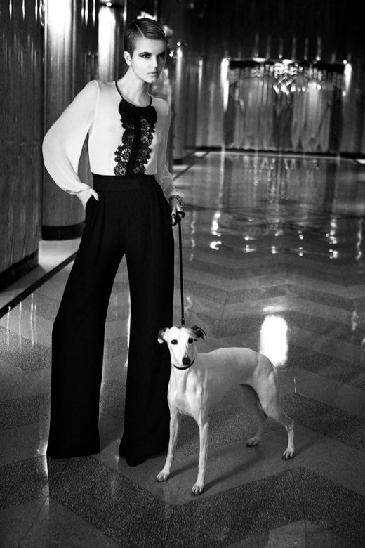 Image by Dewey Nicks