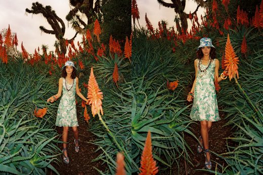 Image by Dewey Nicks