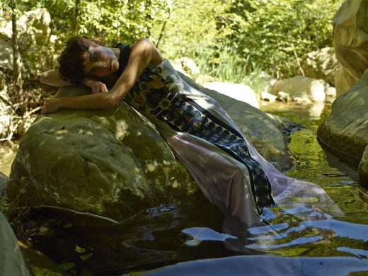 Image by Dewey Nicks