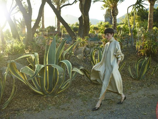 Image by Dewey Nicks