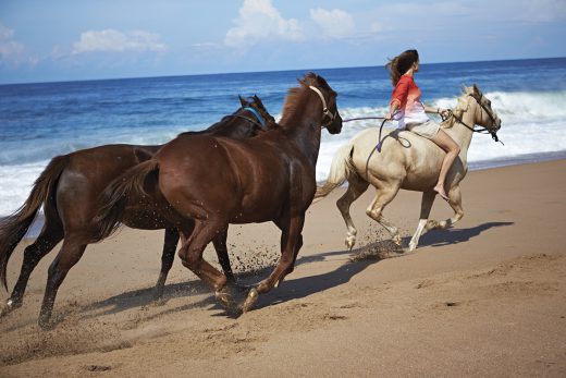 Image by Dewey Nicks