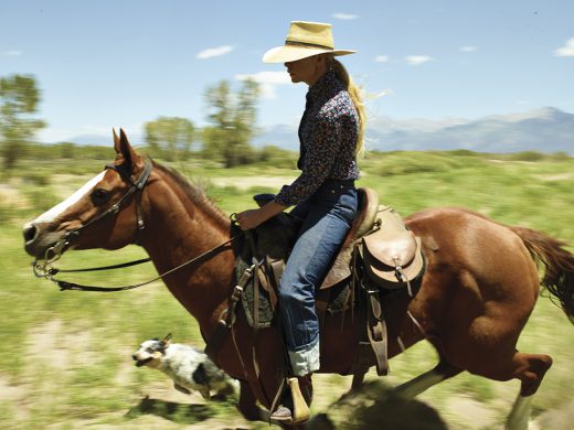 Image by Dewey Nicks