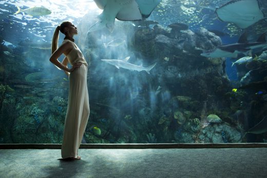 Image by Dewey Nicks