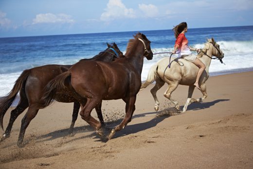 Image by Dewey Nicks