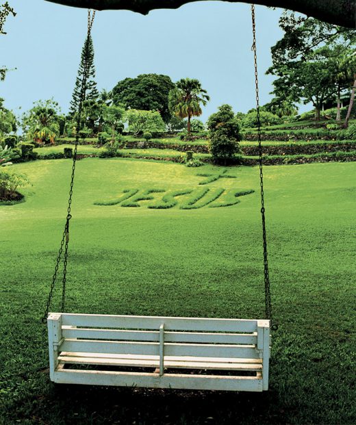 Image by Dewey Nicks