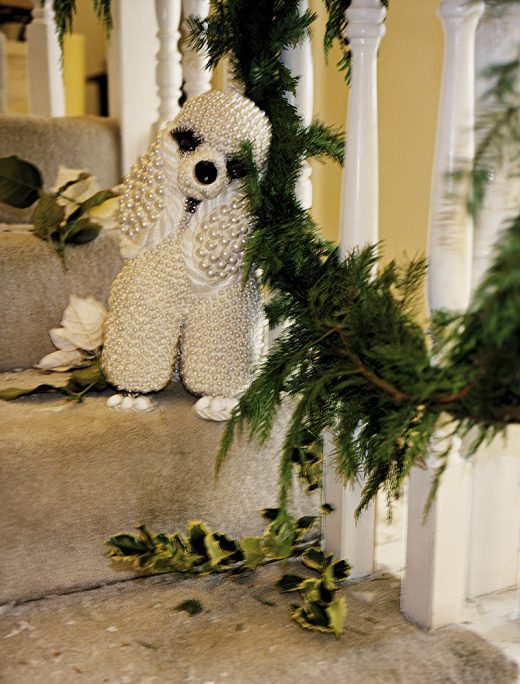 Image by Dewey Nicks