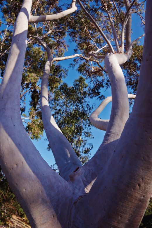 Image by Dewey Nicks