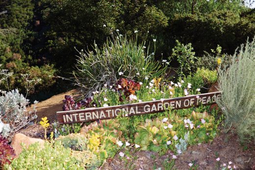 Image by Dewey Nicks