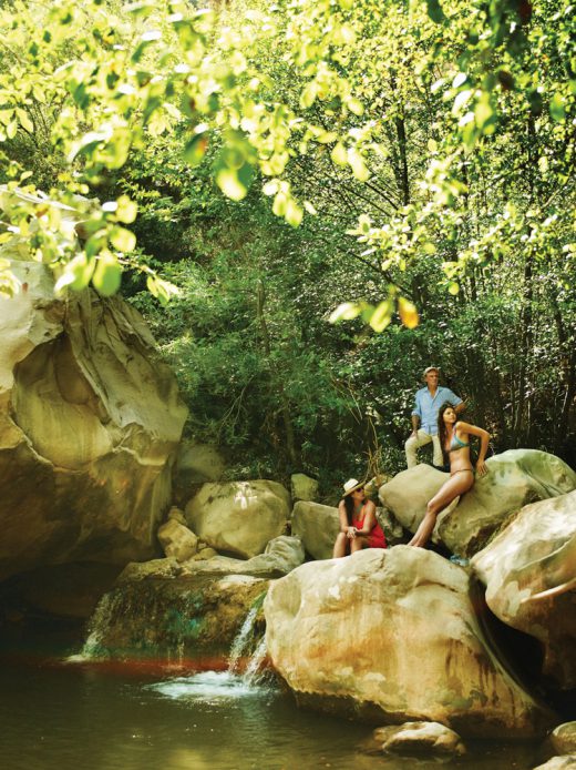 Image by Dewey Nicks