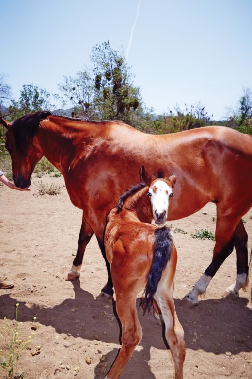 Image by Dewey Nicks