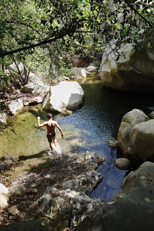 Image by Dewey Nicks