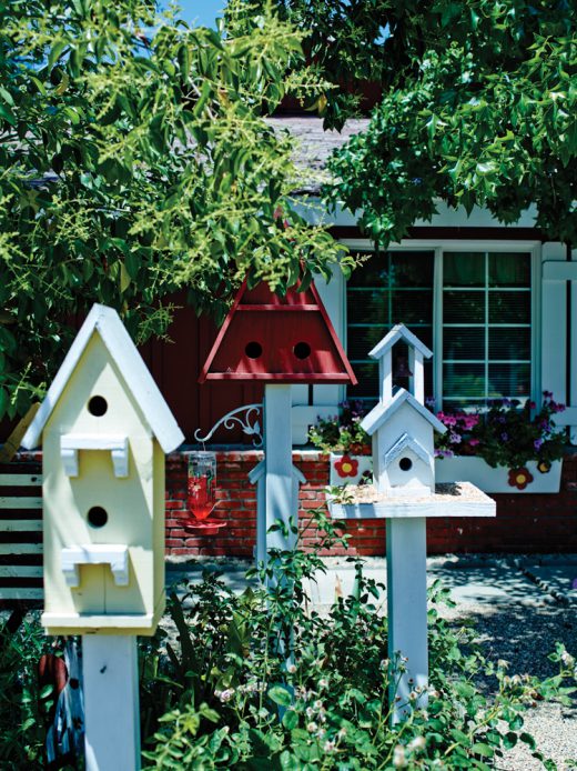 Image by Dewey Nicks