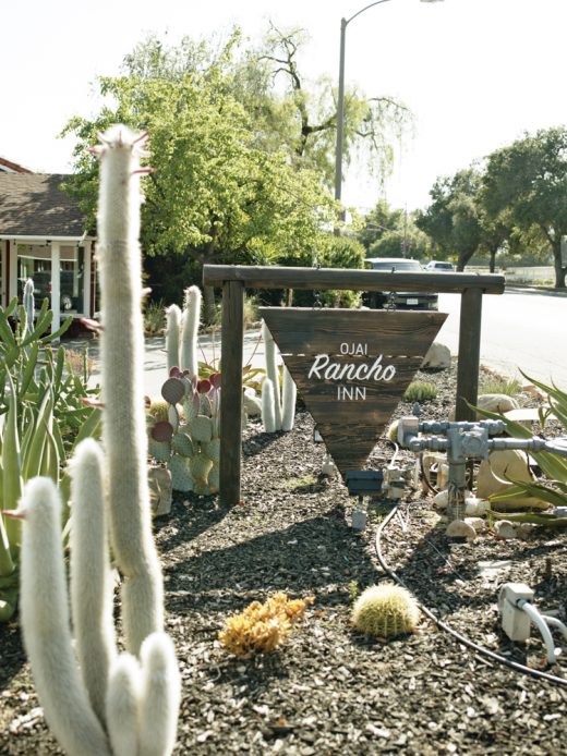 Image by Dewey Nicks