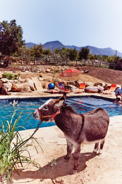 Image by Dewey Nicks