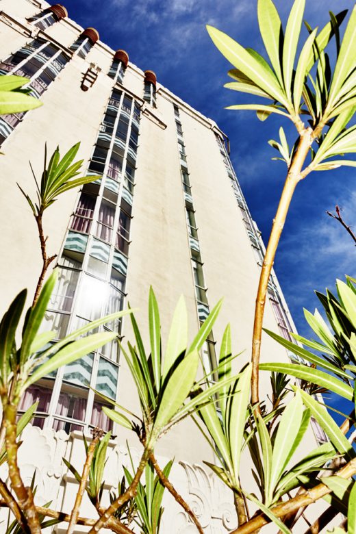 Image by Dewey Nicks