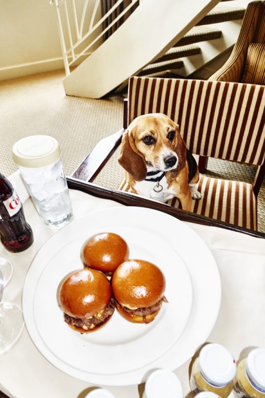 Image by Dewey Nicks