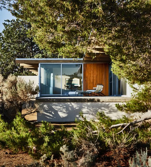 Image by Dewey Nicks