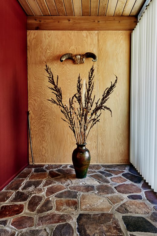 Image by Dewey Nicks