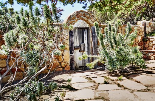 Image by Dewey Nicks