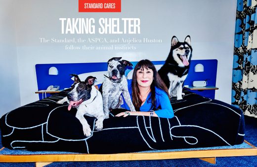 Image by Dewey Nicks