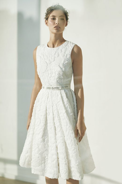 Image by Dewey Nicks