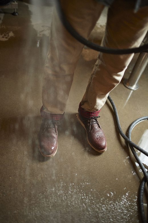 Image by Dewey Nicks