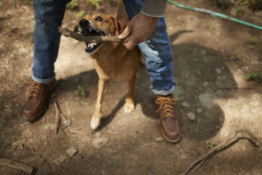 Image by Dewey Nicks