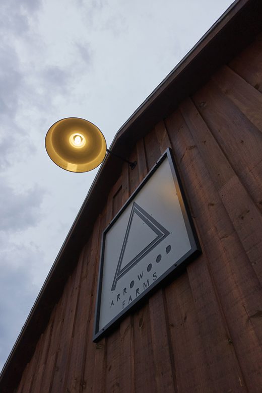 Image by Dewey Nicks