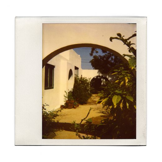 Image by Dewey Nicks