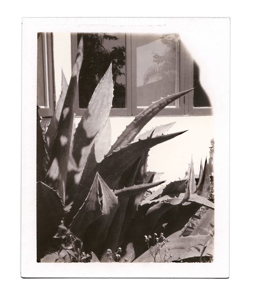 Image by Dewey Nicks